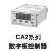 CA2ϵְ